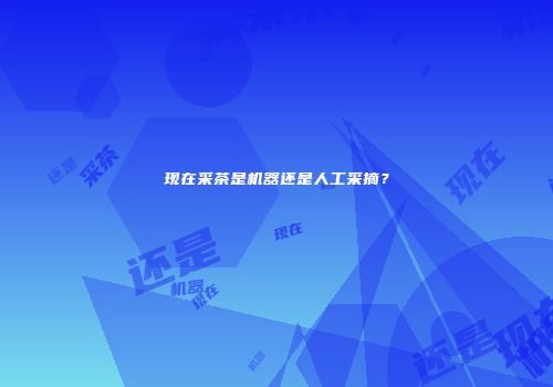 现在采茶是机器还是人工采摘？