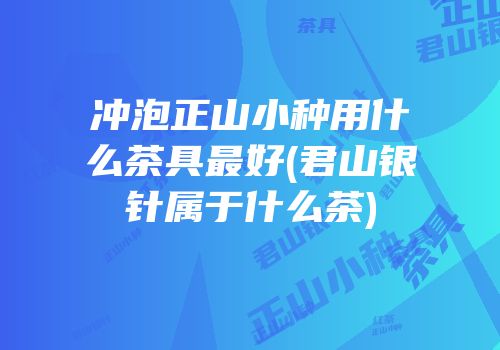 冲泡正山小种用什么茶具最好(君山银针属于什么茶)