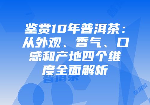 鉴赏10年普洱茶：从外观、香气、口感和产地四个维度全面解析
