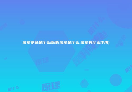 茶宠变色是什么原理(茶宠是什么,茶宠有什么作用)