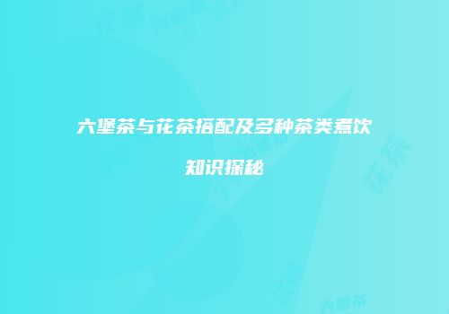 六堡茶与花茶搭配及多种茶类煮饮知识探秘