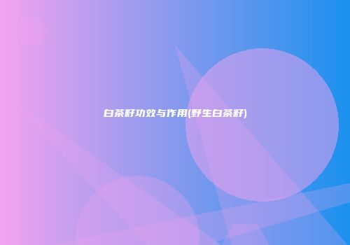 白茶籽功效与作用(野生白茶籽)