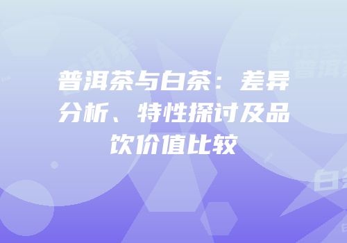 普洱茶与白茶：差异分析、特性探讨及品饮价值比较