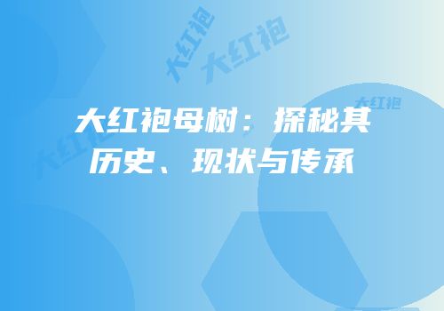 大红袍母树：探秘其历史、现状与传承