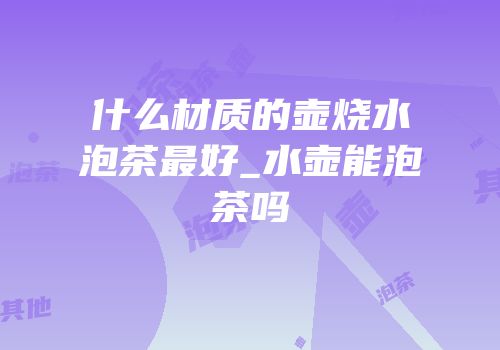 什么材质的壶烧水泡茶最好_水壶能泡茶吗