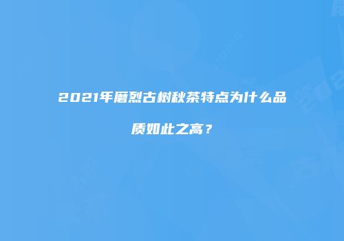 2021年磨烈古树秋茶特点为什么品质如此之高？