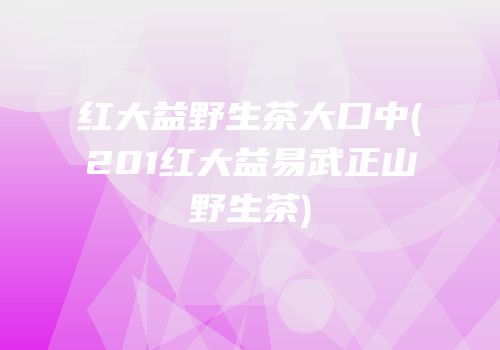 红大益野生茶大口中(201红大益易武正山野生茶)
