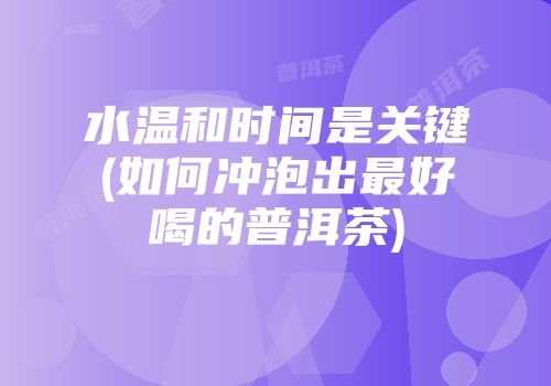 水温和时间是关键(如何冲泡出最好喝的普洱茶)