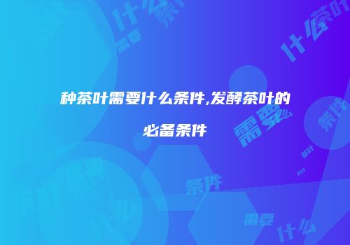 种茶叶需要什么条件,发酵茶叶的必备条件