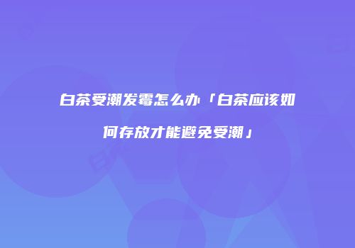白茶受潮发霉怎么办「白茶应该如何存放才能避免受潮」