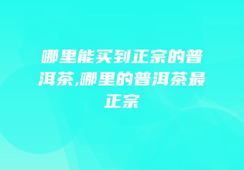 哪里能买到正宗的普洱茶,哪里的普洱茶最正宗