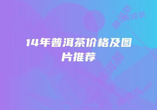 14年普洱茶价格及图片推荐