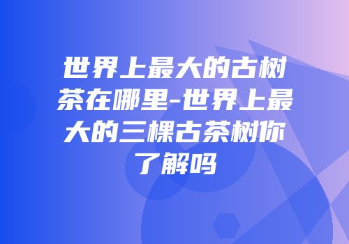 世界上最大的古树茶在哪里-世界上最大的三棵古茶树你了解吗