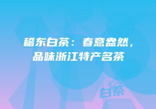 稽东白茶：春意盎然，品味浙江特产名茶