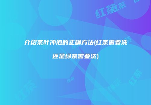 介绍茶叶冲泡的正确方法(红茶需要洗还是绿茶需要洗)