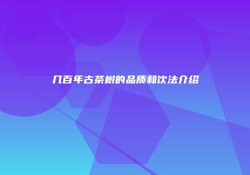 几百年古茶树的品质和饮法介绍