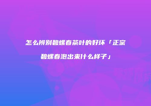 怎么辨别碧螺春茶叶的好坏「正宗碧螺春泡出来什么样子」