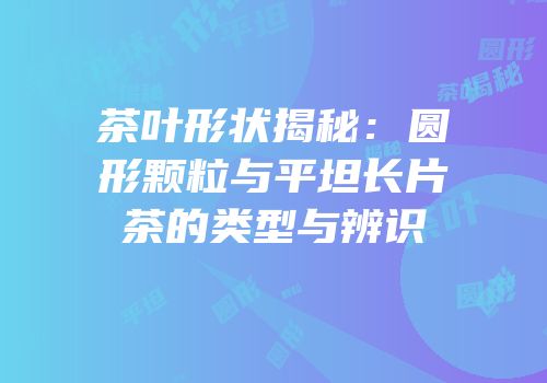 茶叶形状揭秘：圆形颗粒与平坦长片茶的类型与辨识