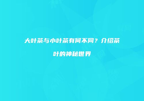大叶茶与小叶茶有何不同？介绍茶叶的神秘世界