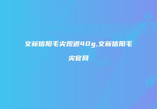 文新信阳毛尖观道40g,文新信阳毛尖官网