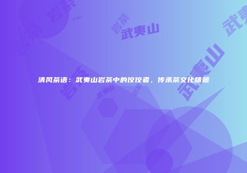 清风茶语：武夷山岩茶中的佼佼者，传承茶文化精髓