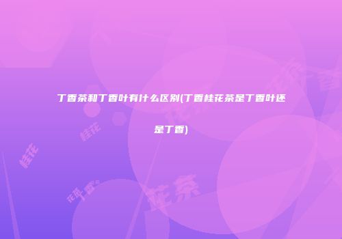 丁香茶和丁香叶有什么区别(丁香桂花茶是丁香叶还是丁香)