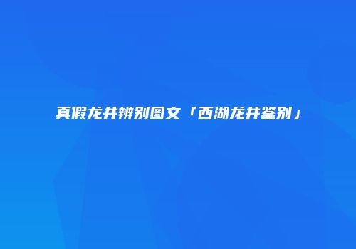 真假龙井辨别图文「西湖龙井鉴别」
