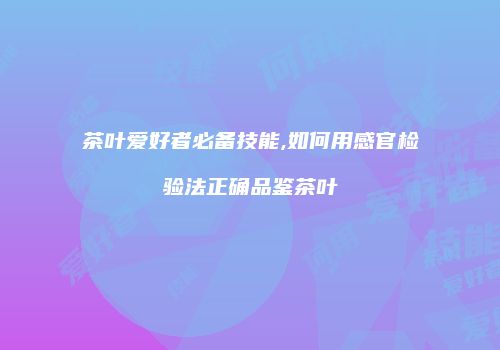 茶叶爱好者必备技能,如何用感官检验法正确品鉴茶叶