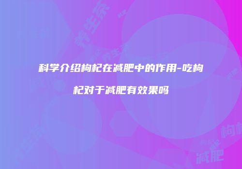 科学介绍枸杞在减肥中的作用-吃枸杞对于减肥有效果吗