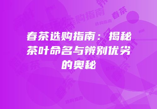春茶选购指南：揭秘茶叶命名与辨别优劣的奥秘