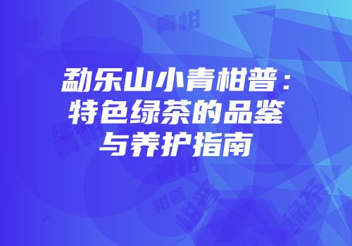 勐乐山小青柑普：特色绿茶的品鉴与养护指南