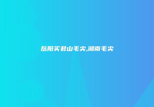 岳阳买君山毛尖,湖南毛尖