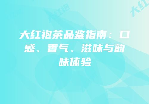 大红袍茶品鉴指南：口感、香气、滋味与韵味体验
