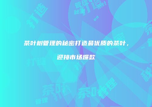 茶叶树管理的秘密打造最优质的茶叶，迎接市场爆款