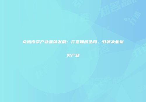 龙岩市茶产业蓬勃发展：打造知名品牌，引领农业优势产业
