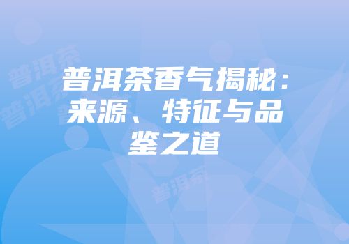 普洱茶香气揭秘：来源、特征与品鉴之道