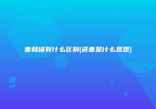 壶和罐有什么区别(瓷壶是什么意思)