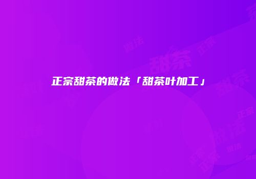 正宗甜茶的做法「甜茶叶加工」