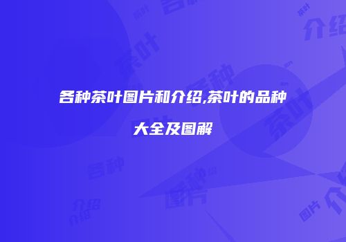 各种茶叶图片和介绍,茶叶的品种大全及图解