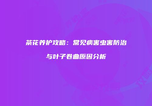 茶花养护攻略：常见病害虫害防治与叶子卷曲原因分析