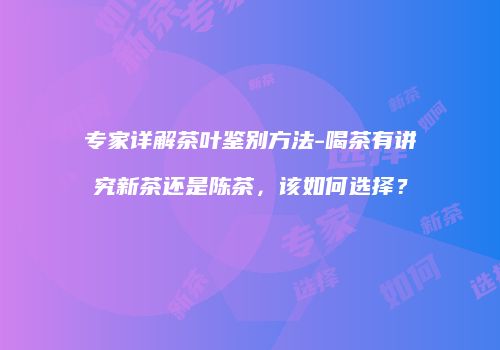 专家详解茶叶鉴别方法-喝茶有讲究新茶还是陈茶，该如何选择？