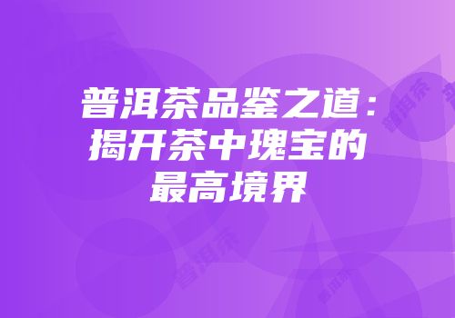 普洱茶品鉴之道：揭开茶中瑰宝的最高境界