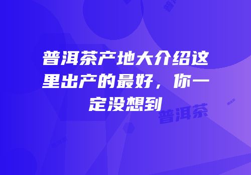 普洱茶产地大介绍这里出产的最好，你一定没想到