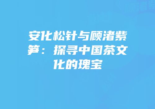 安化松针与顾渚紫笋：探寻中国茶文化的瑰宝