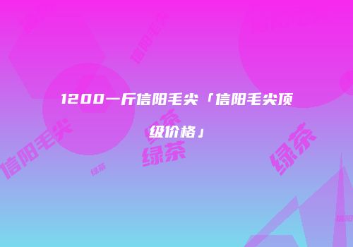 1200一斤信阳毛尖「信阳毛尖顶级价格」