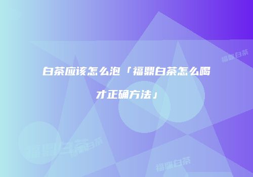 白茶应该怎么泡「福鼎白茶怎么喝才正确方法」