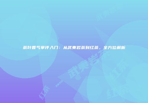 茶叶香气审评入门：从武夷岩茶到红茶，全方位解析