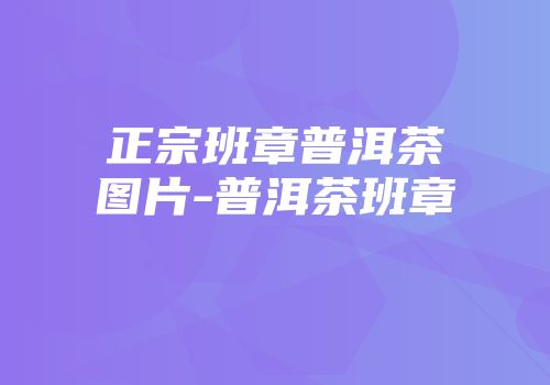 正宗班章普洱茶图片-普洱茶班章