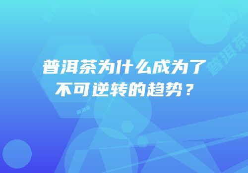 普洱茶为什么成为了不可逆转的趋势？