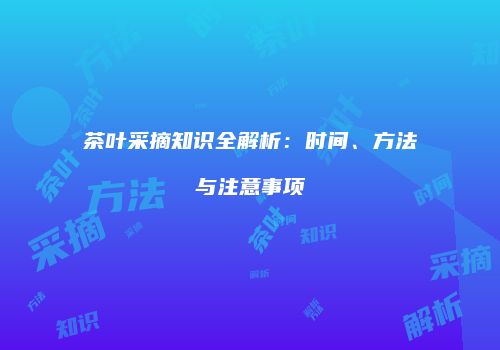 茶叶采摘知识全解析：时间、方法与注意事项